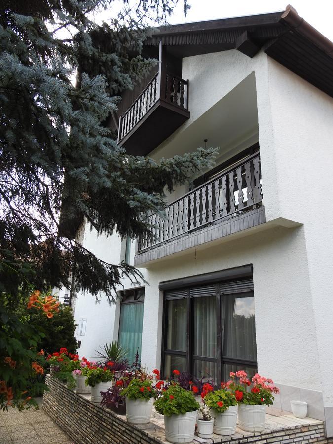 Haus Gizella Hotel Harkany Exterior photo